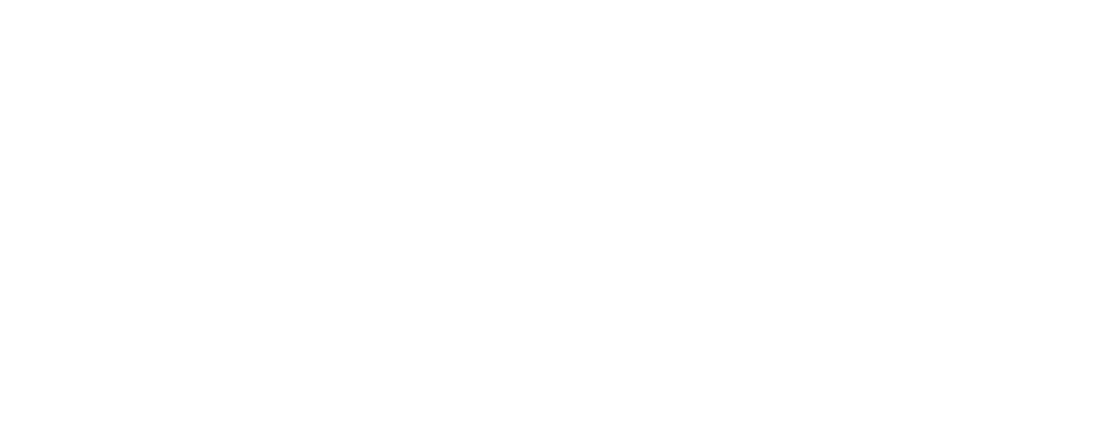 肖先生-白